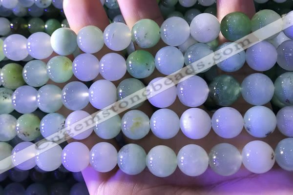 CAU474 15.5 inches 11mm round Australia chrysoprase beads