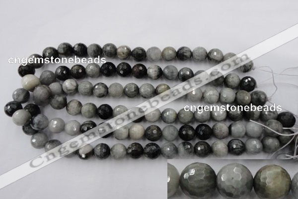 CEE354 15.5 inches 12mm faceted round eagle eye jasper beads