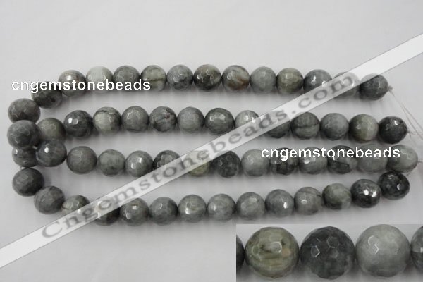 CEE355 15.5 inches 14mm faceted round eagle eye jasper beads