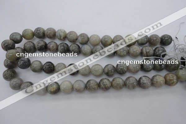 CLB710 15.5 inches 16mm round labradorite gemstone beads