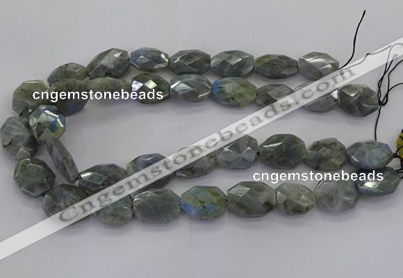 CLB769 15.5 inches 13*18mm - 18*25mm faceted freeform labradorite beads