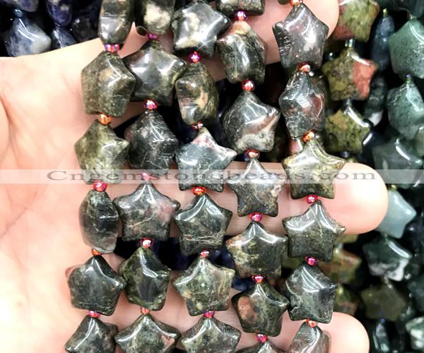 CRG94 15 inches 16mm star bloodstone beads wholesale