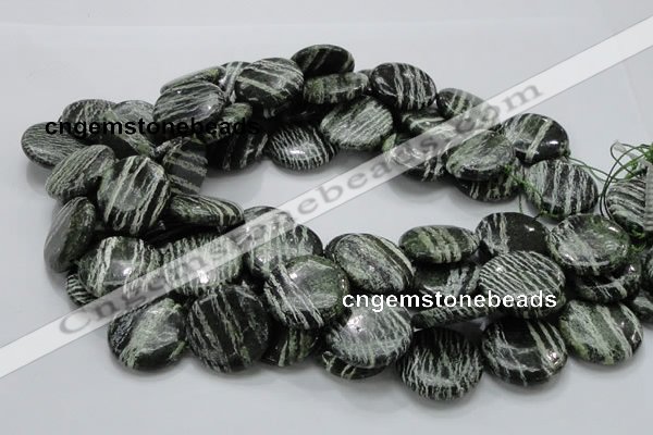 CSJ45 15.5 inches 25mm flat round green silver line jasper beads