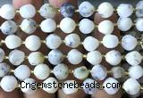 CTW603 15 inches 8mm faceted & twisted S-shaped white opal beads