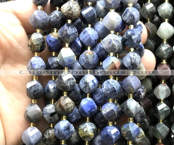 CTW691 10mm faceted & twisted S-shaped sunset dumortierite beads